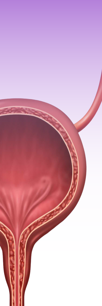 Fisiopatología int Fisiopatología int